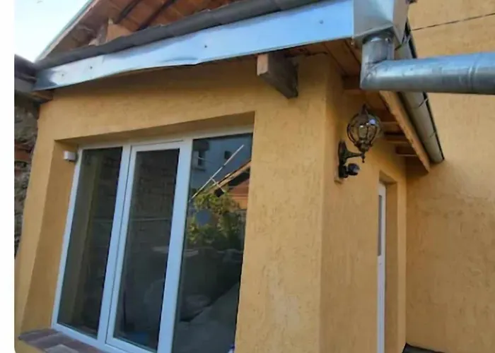 цвети 1 * Русе